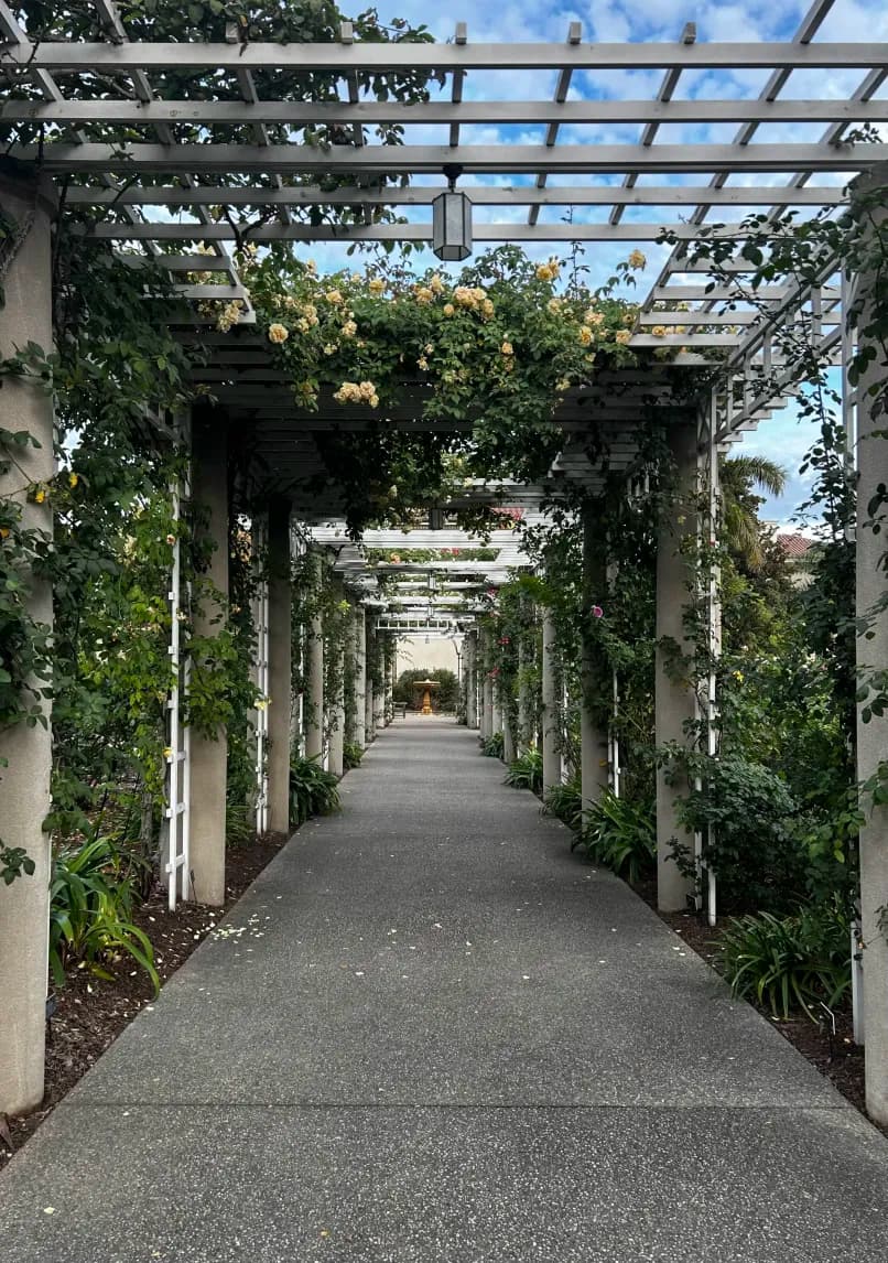 Flower Garden