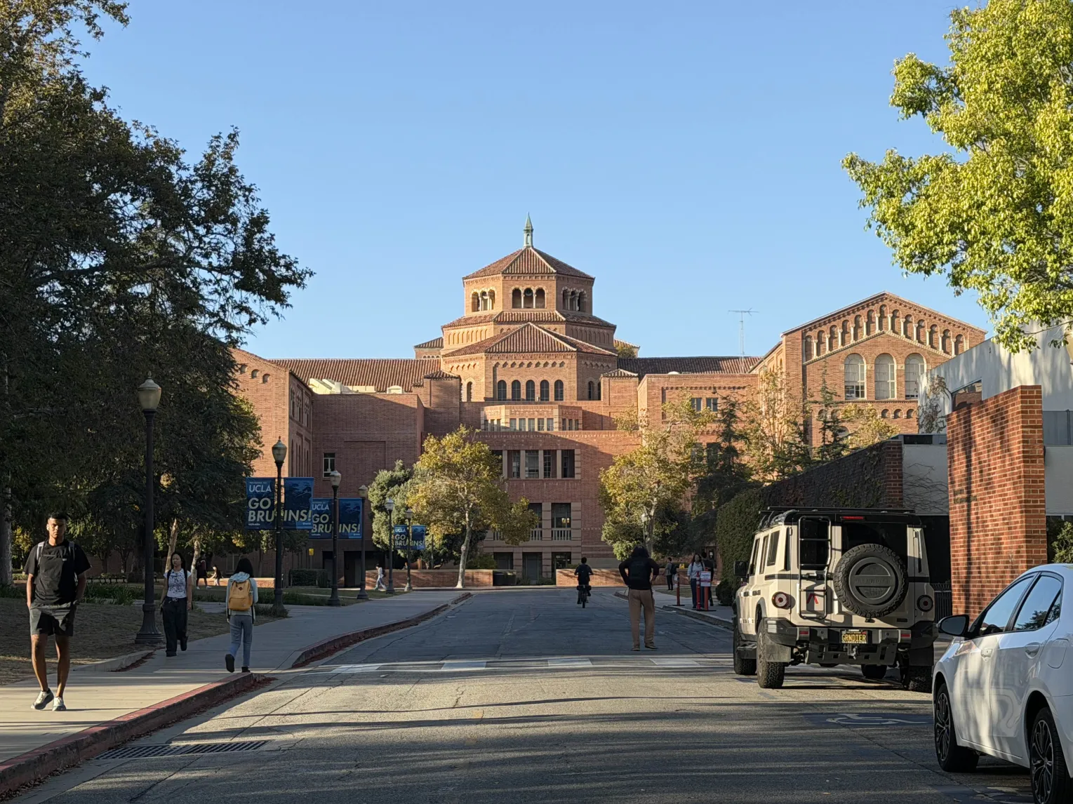 Powell library from the back